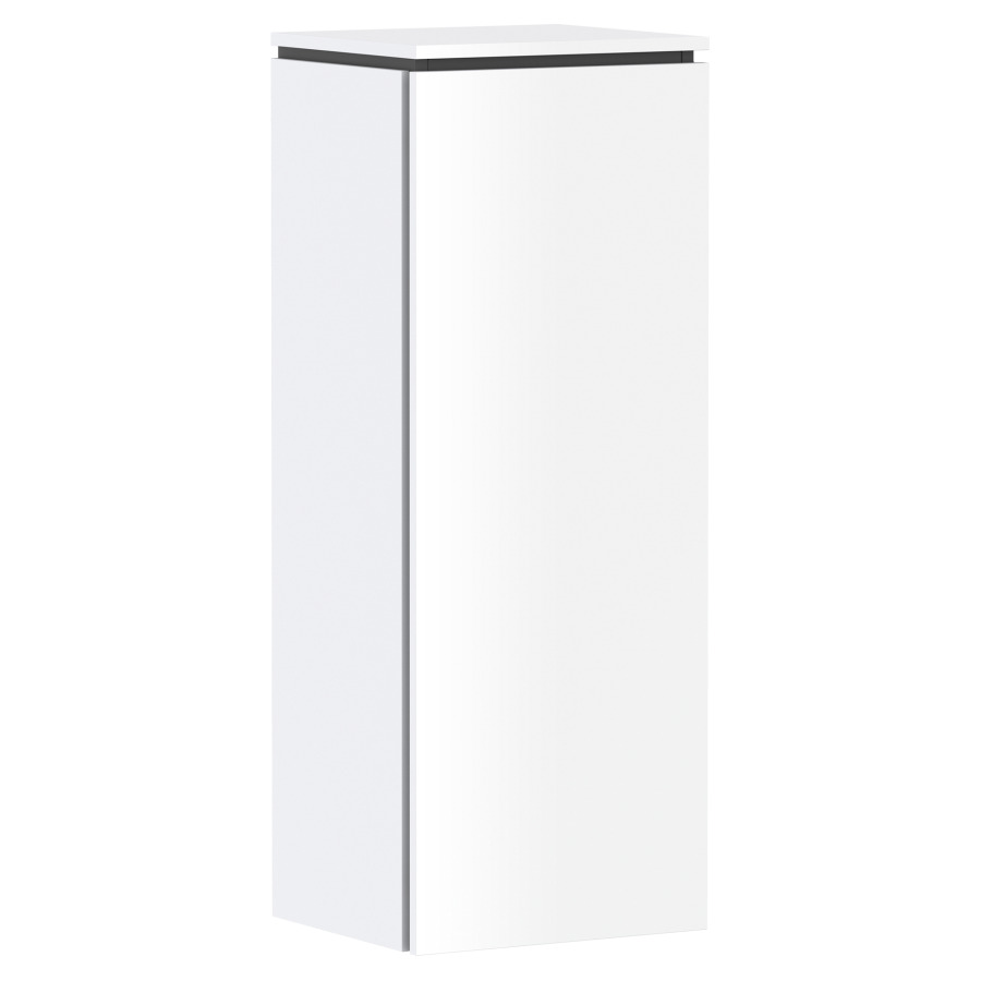 Armoire mi-haute Xilesa E 
40 x 106.5 x 35 cm
armoire de tablette, 1&nbsp;porte
charnière à droite 
3&nbsp;tablettes en verre, réglable
avec SoftClose
avec matériel de fixation