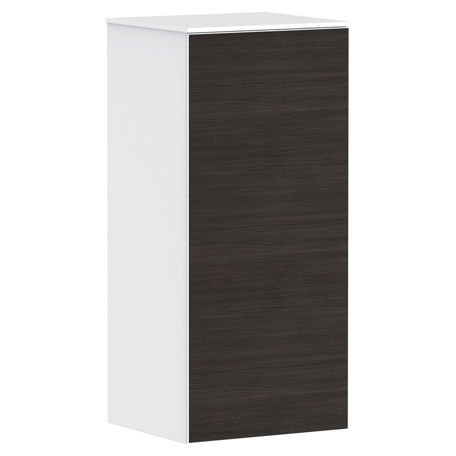 Armoire mi-haute XEVOLOS E
40,5 x 89,0 x 36,0 cm
suspendu, armoire de tablette
1 porte, charnières à gauche
2 tablettes en verre
avec matériel de fixation