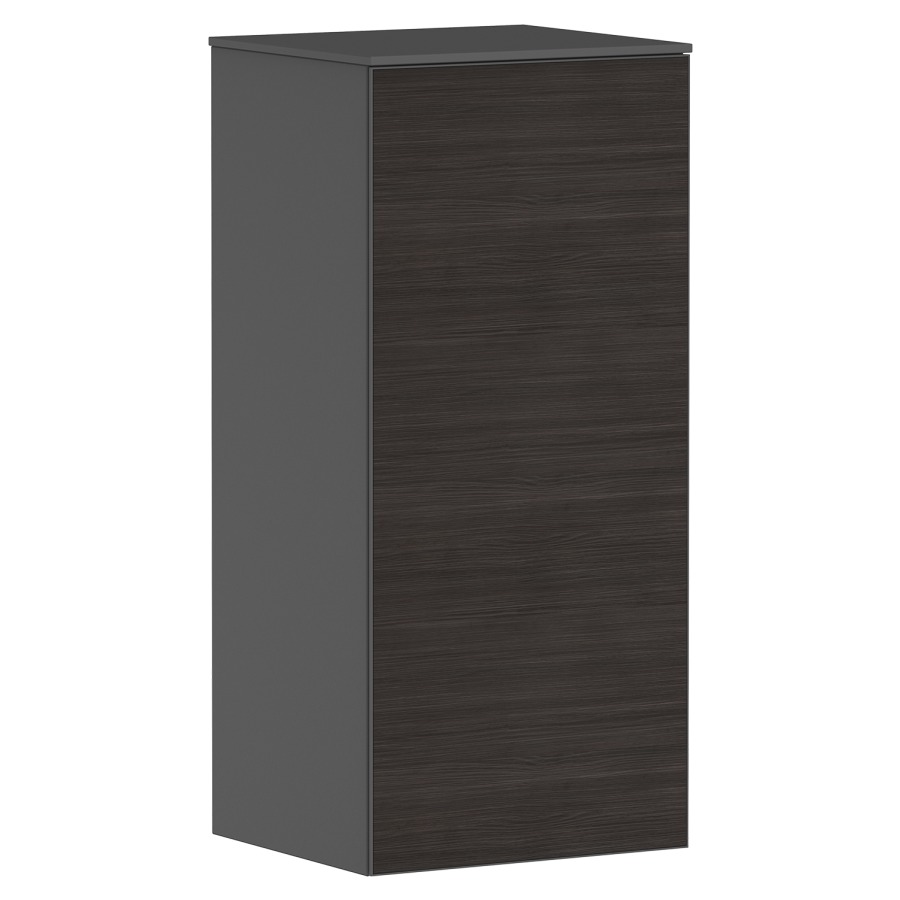 Armoire mi-haute XEVOLOS E
40,5 x 89,0 x 36,0 cm
suspendu, armoire de tablette
1 porte, charnières à droite
2 tablettes en verre
avec matériel de fixation