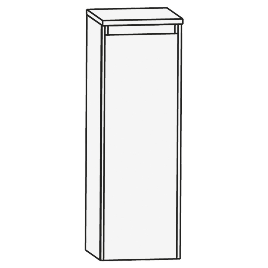Armoire mi-haute HIGH LINE
42,5 x 84 x 32,2 cm
armoire de tablette, 1 porte
charnières à droite
2 tablettes