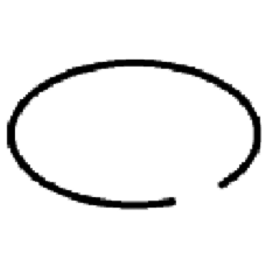 Circlip