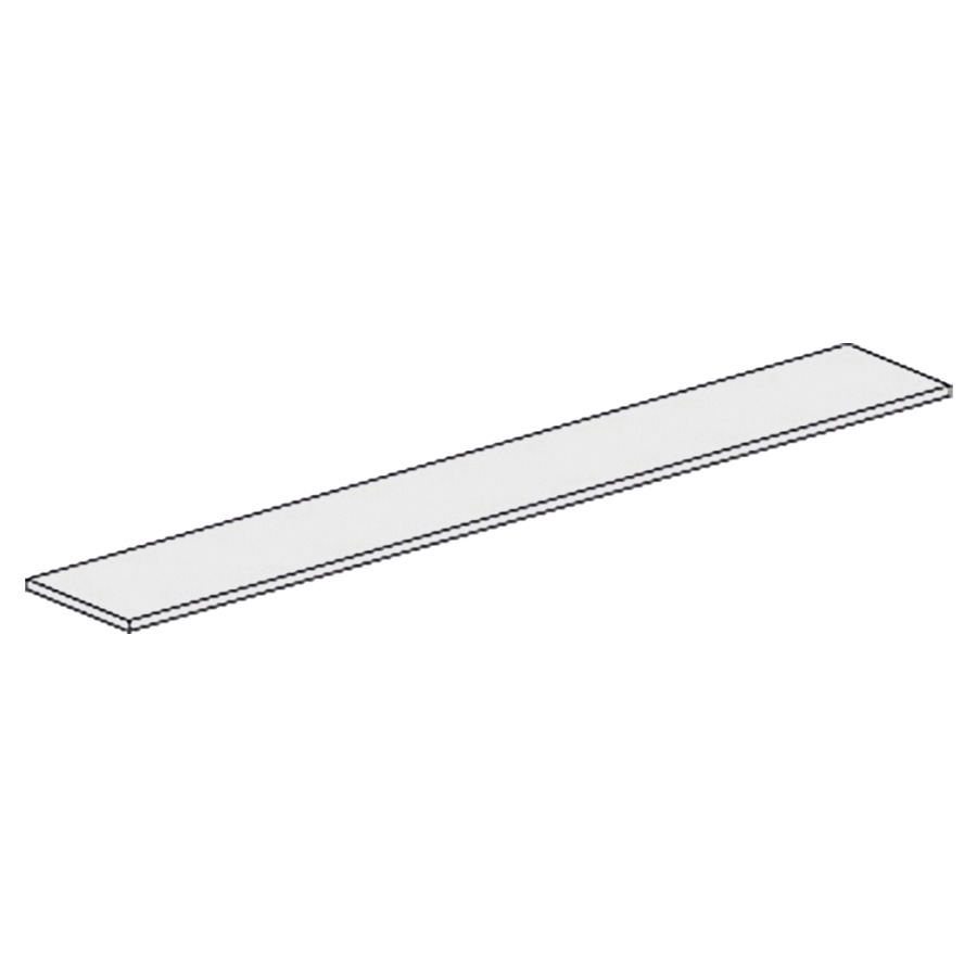 Porte à miroir basculant SCHNEIDER Typ SG.KR.40.2