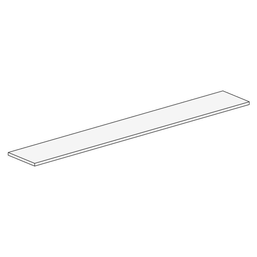 Porte à miroir basculant SCHNEIDER Typ SG.KR.70.2