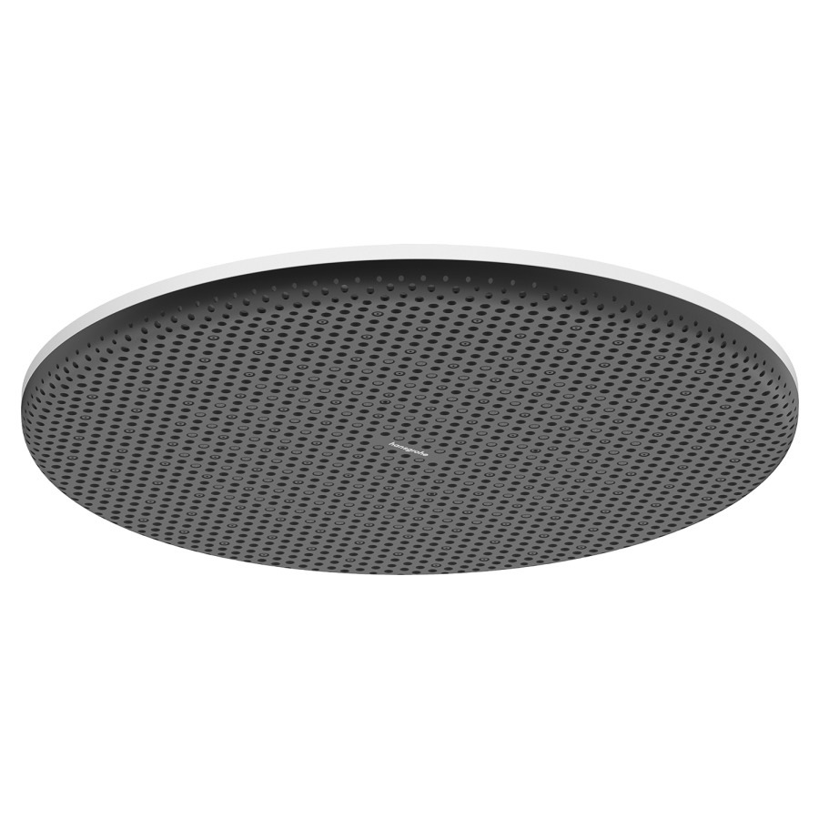 Pomme de douche Raindance Alive S