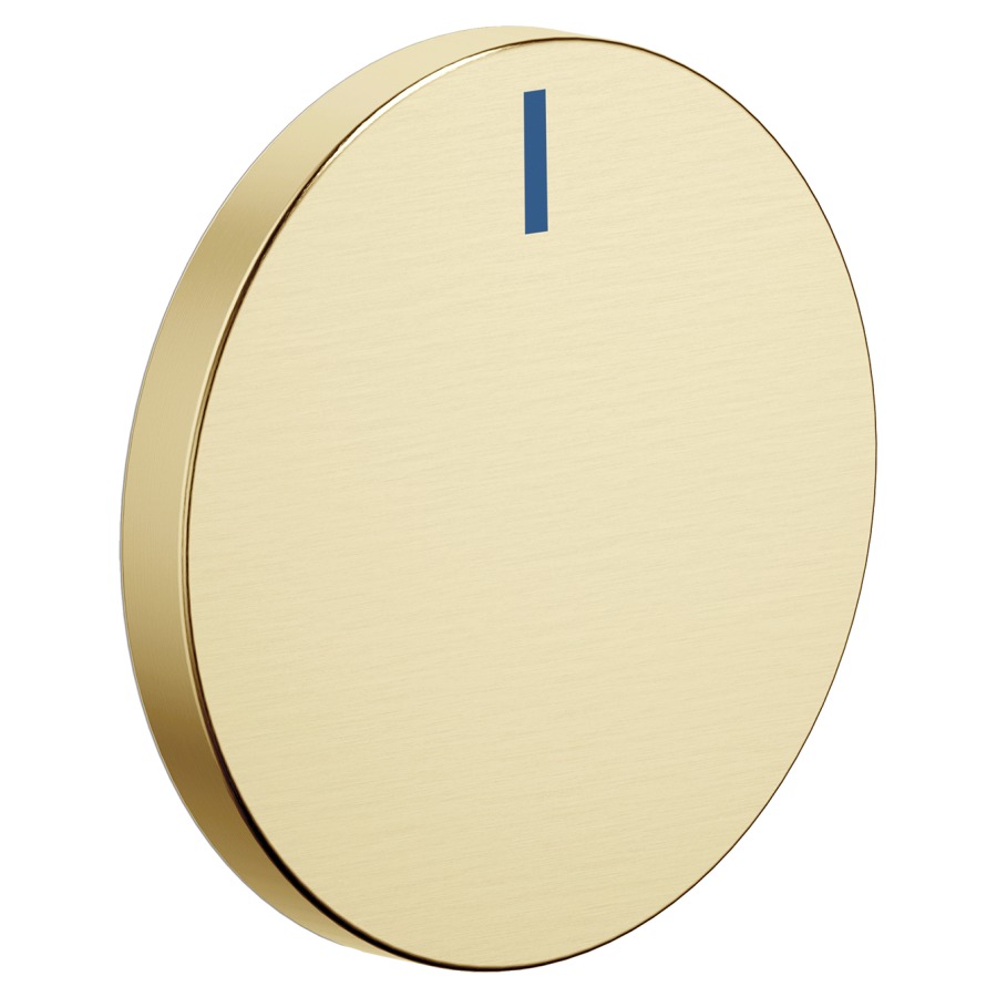 Insert de poignée CYO bleu
à 751 404/417/418