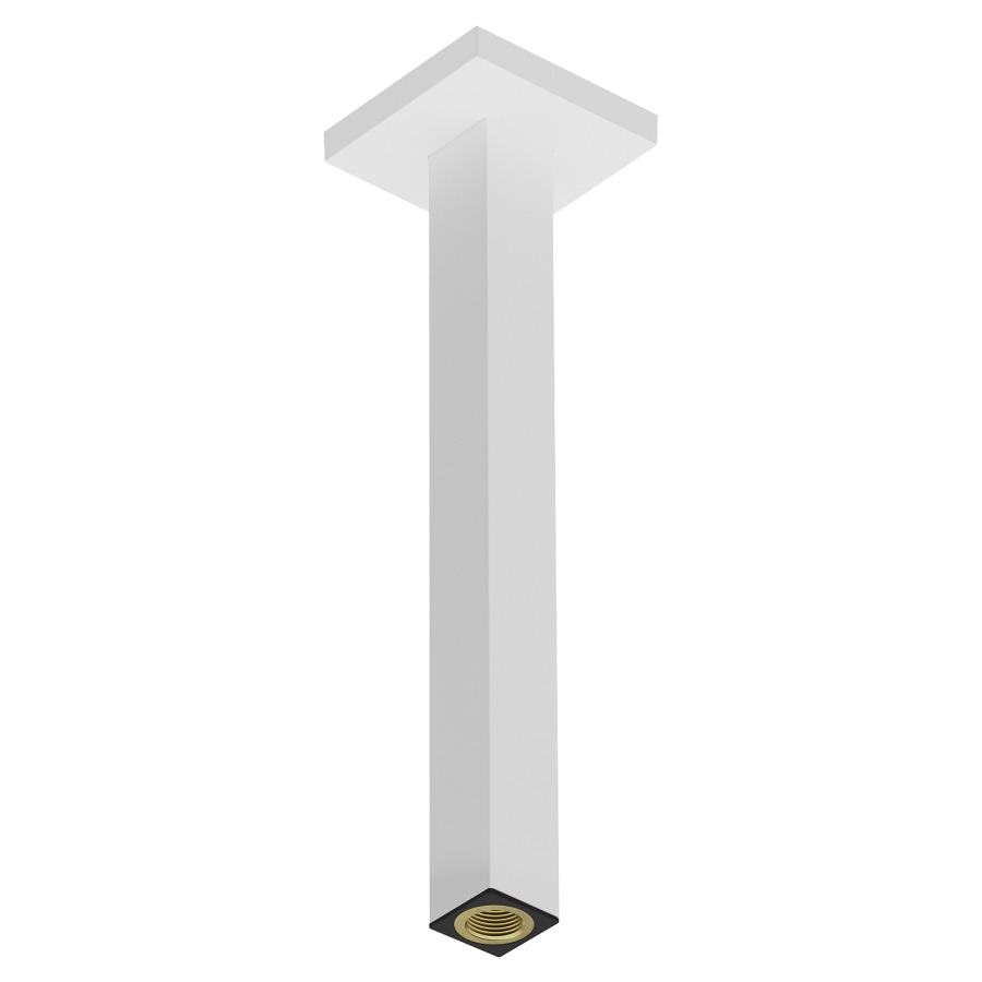 Bras de douche au plafond HANSGROHE
saillie 300 mm, 1/2"