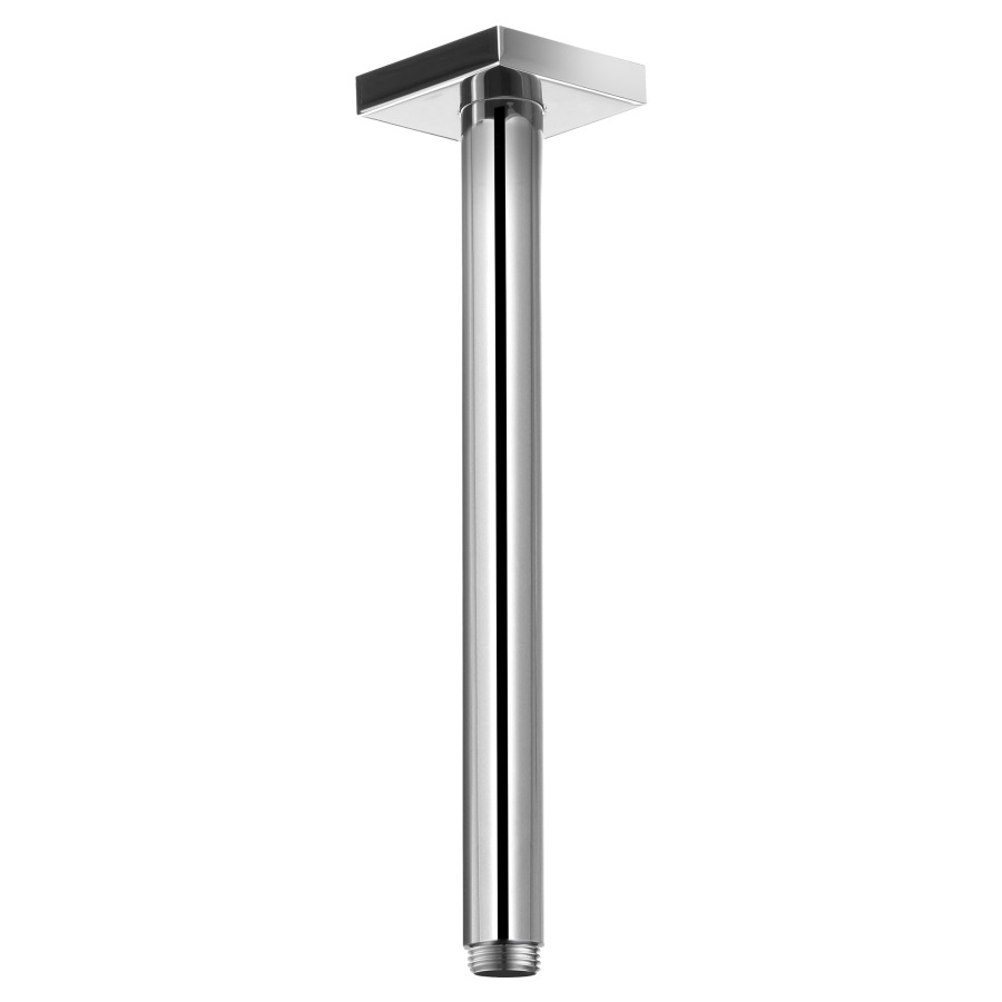 Bras de douche EDITION 11/300
au plafond, S 300 mm, 1/2"
rosace 80 x 80 mm
